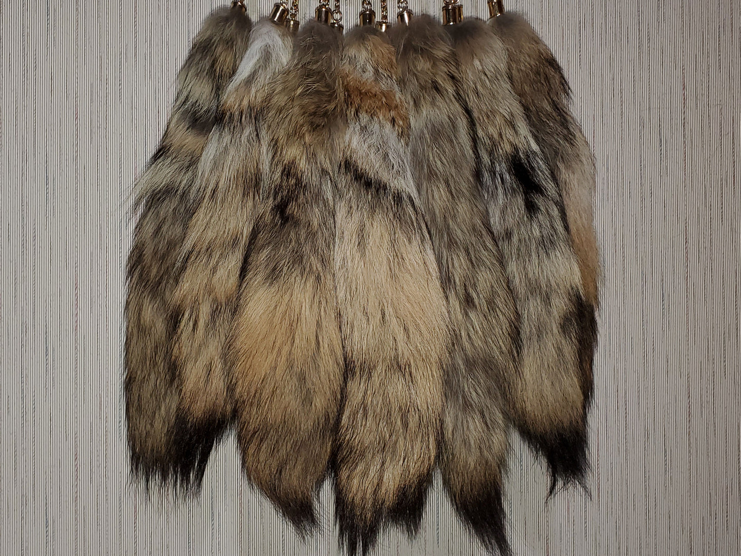 Real Coyote Tail Keychain, Antenna Topper, Mirror Hanger, Therian Tail