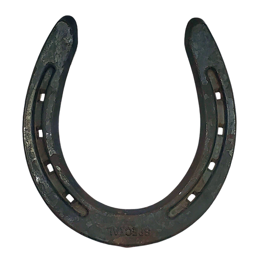 Diamond SPECIAL DSOO Horseshoe
