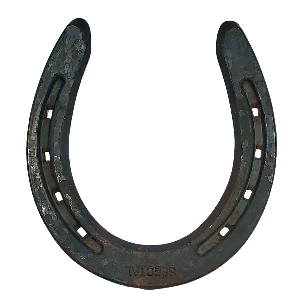 Diamond SPECIAL DSOO Horseshoe